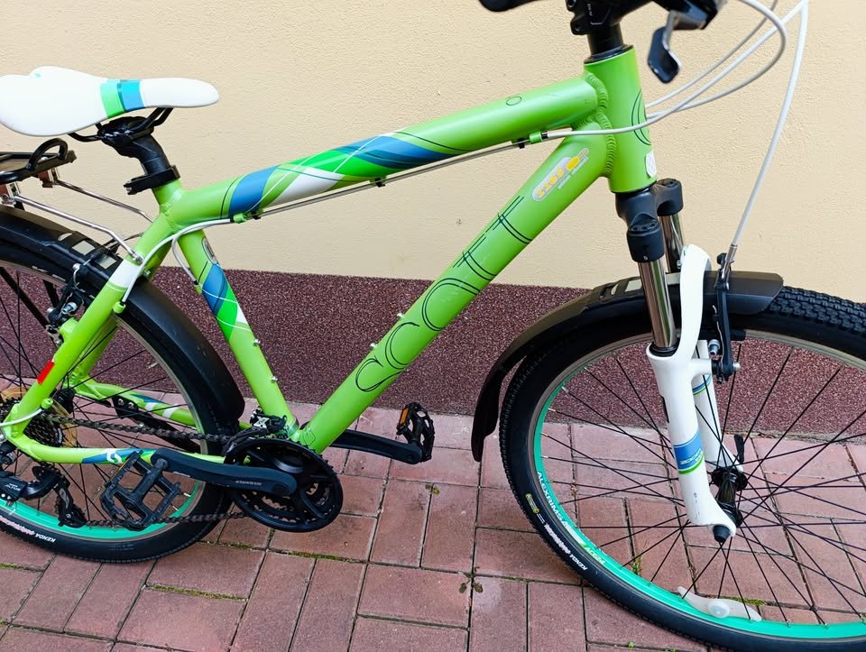 Boty na běžky Tecno pro