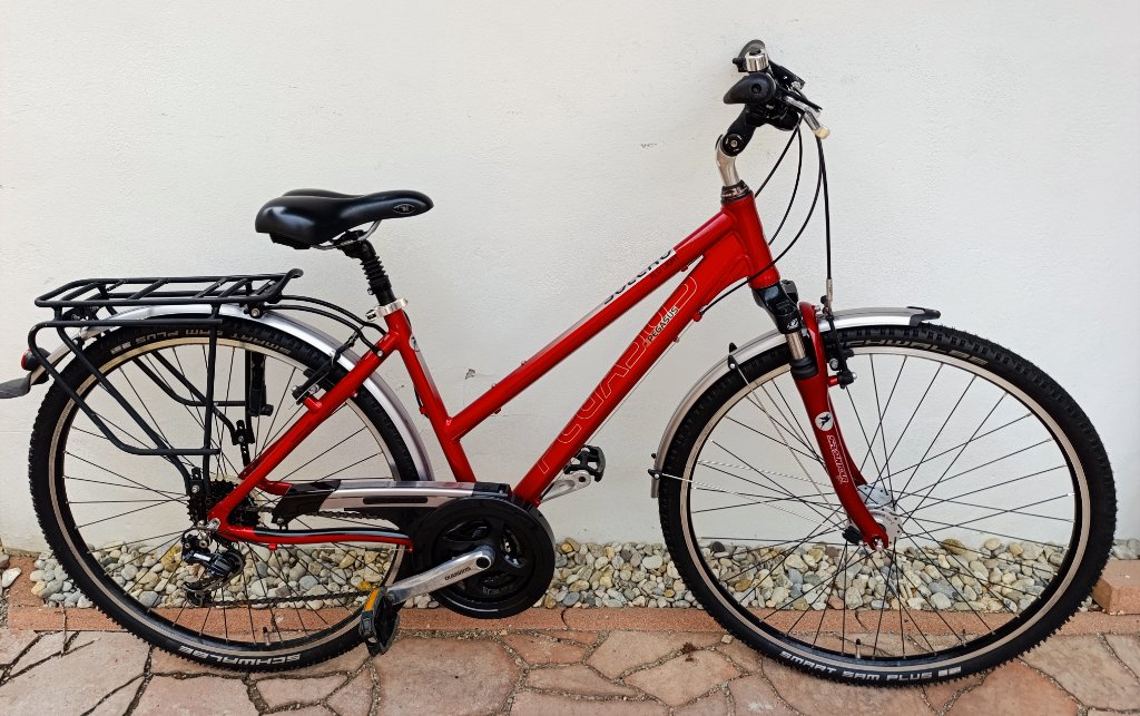 Boty na běžky Tecno pro